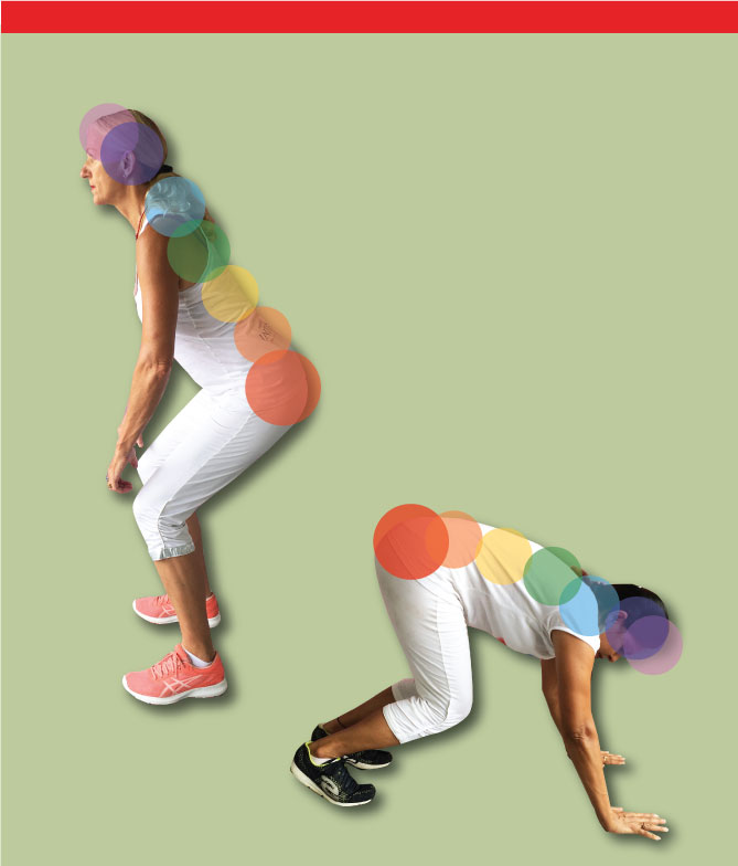 Base chakra exercises - narrow squat & dog squat