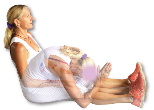 Crown chakra exercises sitting forward bend & forward bend